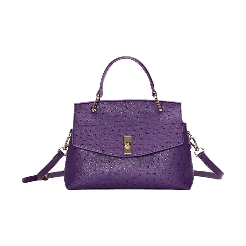 Chic Glow Women Handbag